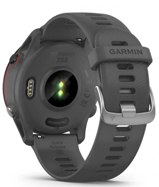 Смарт-часы Garmin Forerunner 255 46mm Slate Grey