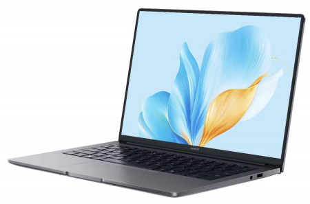 Ноутбук HONOR Magicbook X14 (5301ALXL)