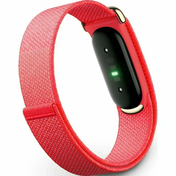 Фитнес-браслет Google Fitbit Air (Berry)